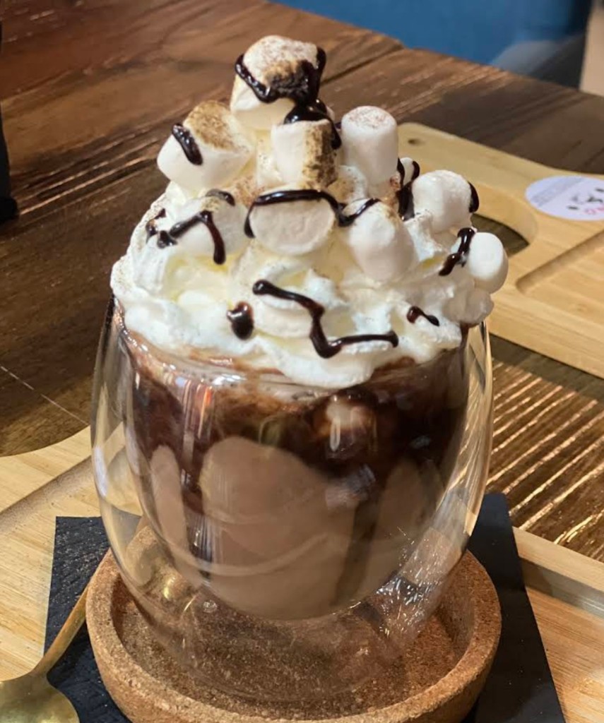 Hot chocolate with toasted marshmallows and whipped cream